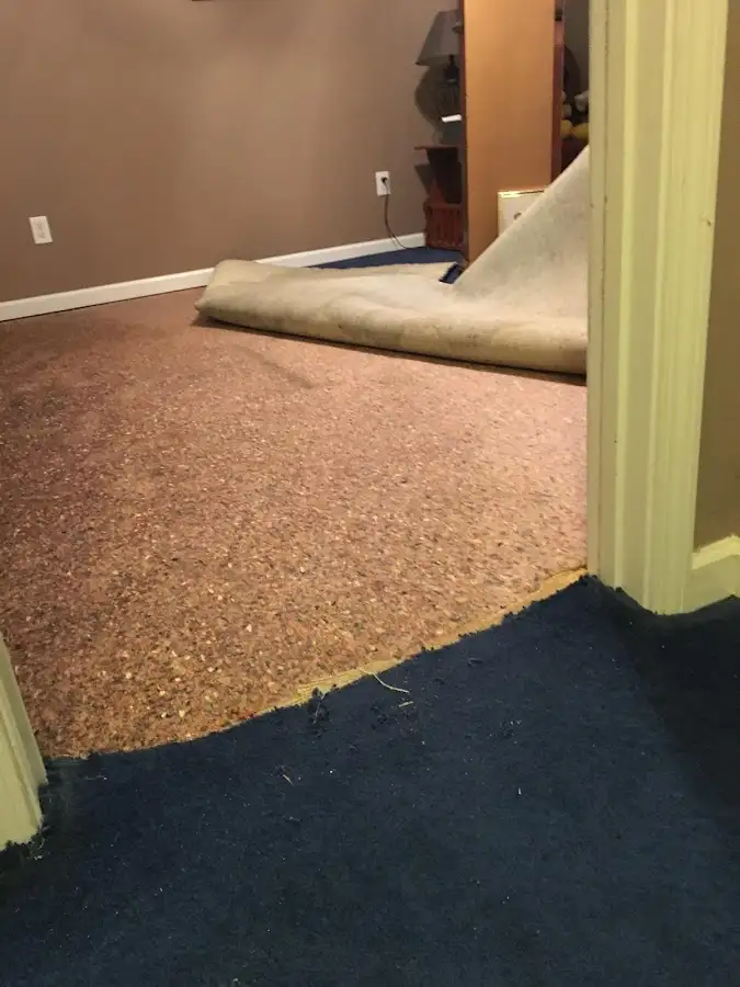 Carpet pad removal revealing water damage during Drying & Dehumidification in Forest Hill